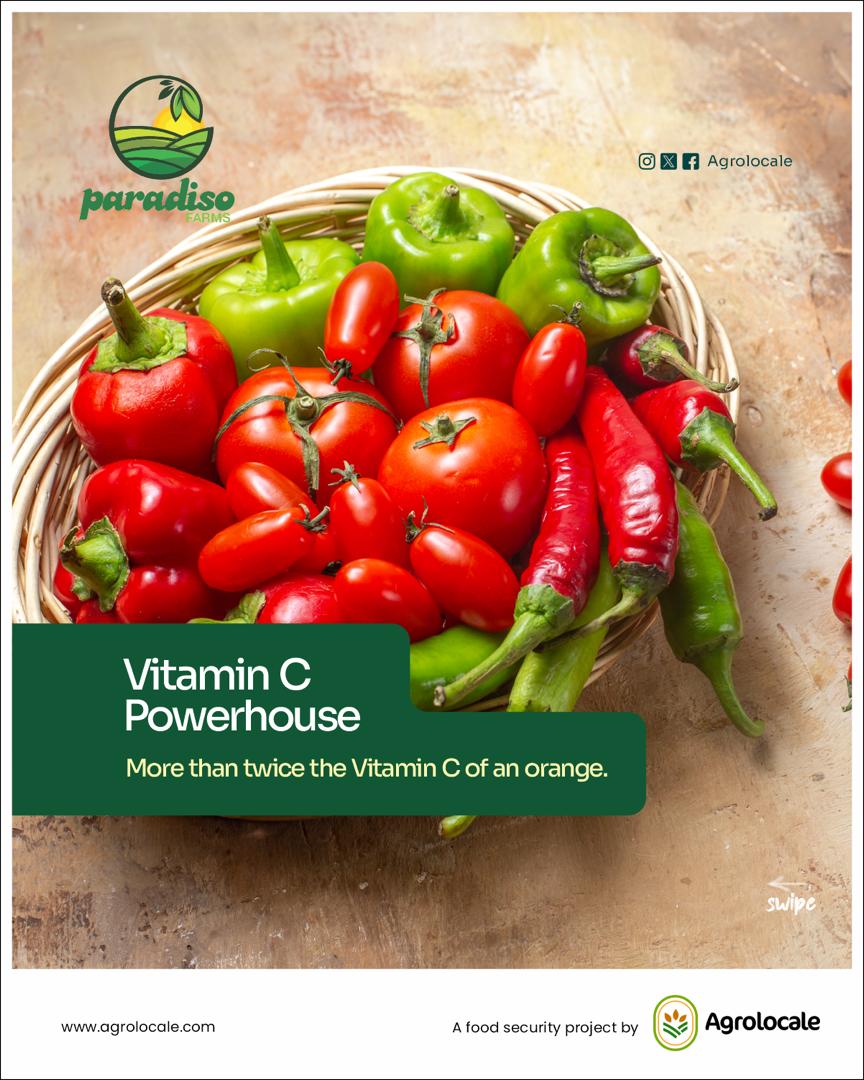 🌶️ Habanero 6