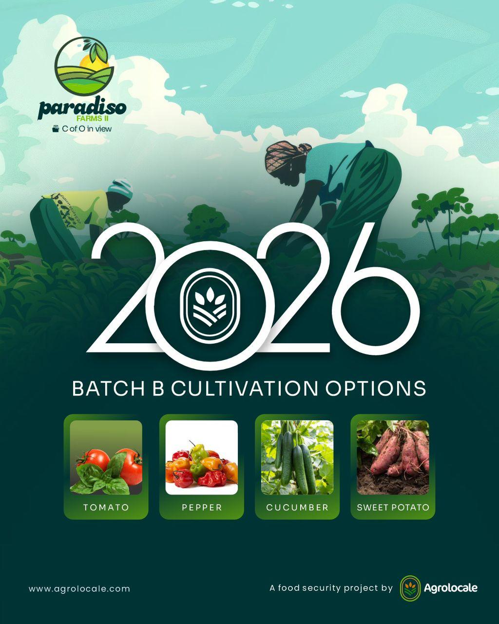 Paradiso Farms